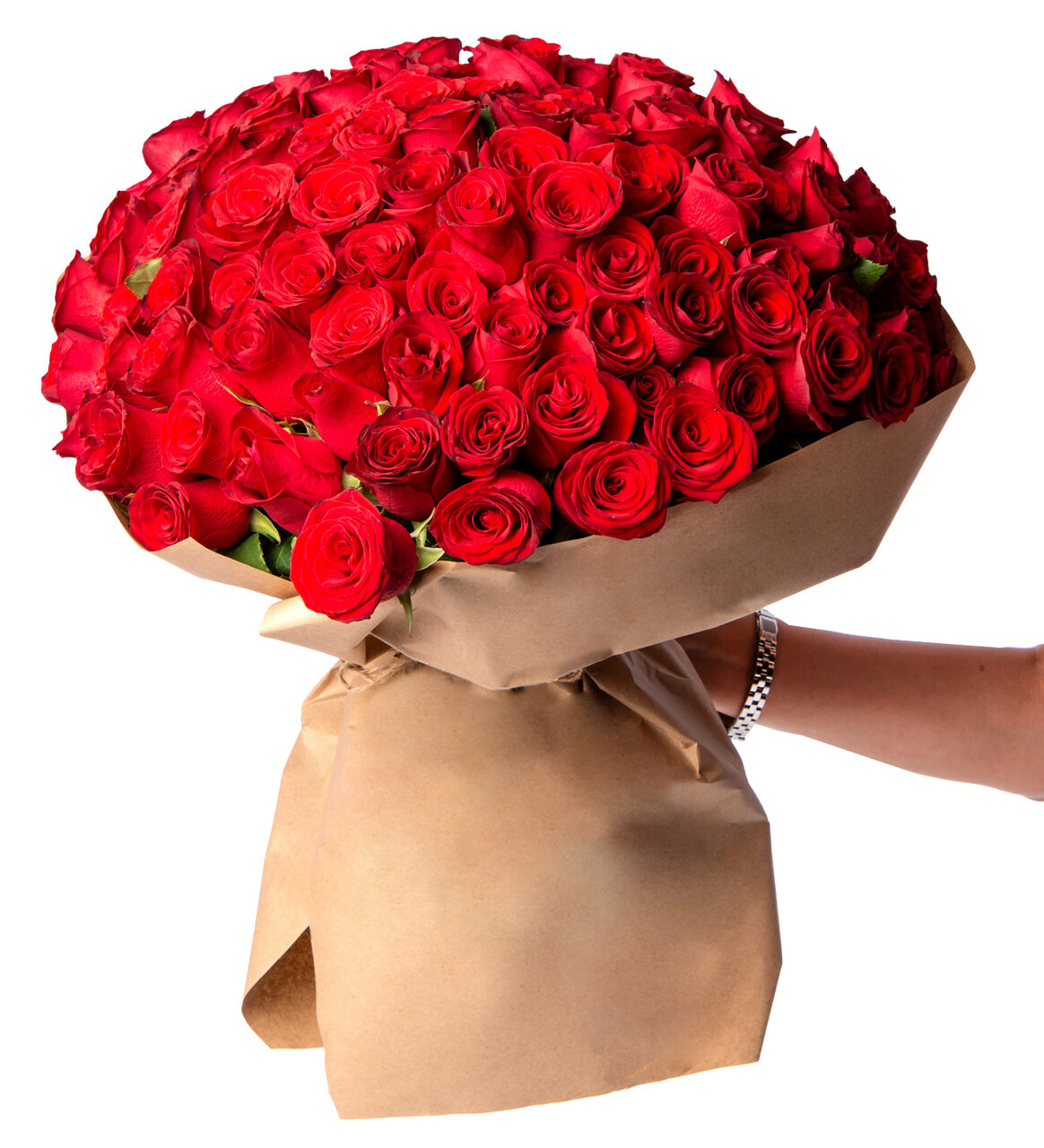 200 ROSAS