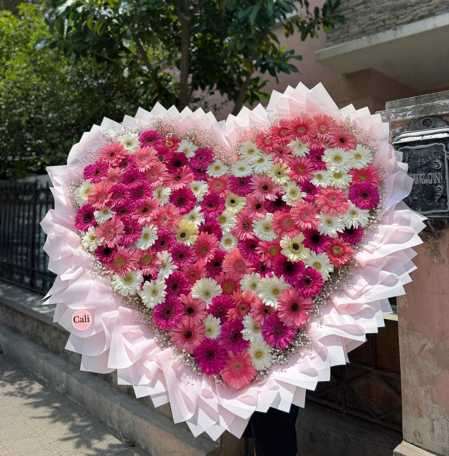Explosión Floral