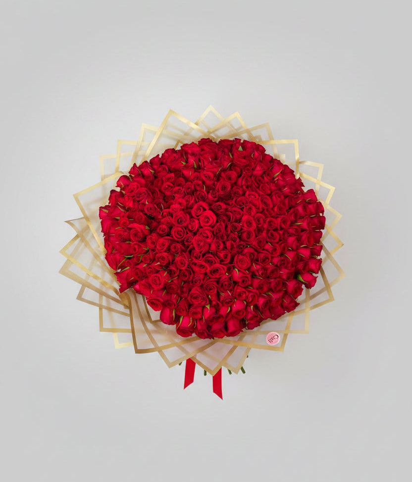 300 ROSAS ROJAS