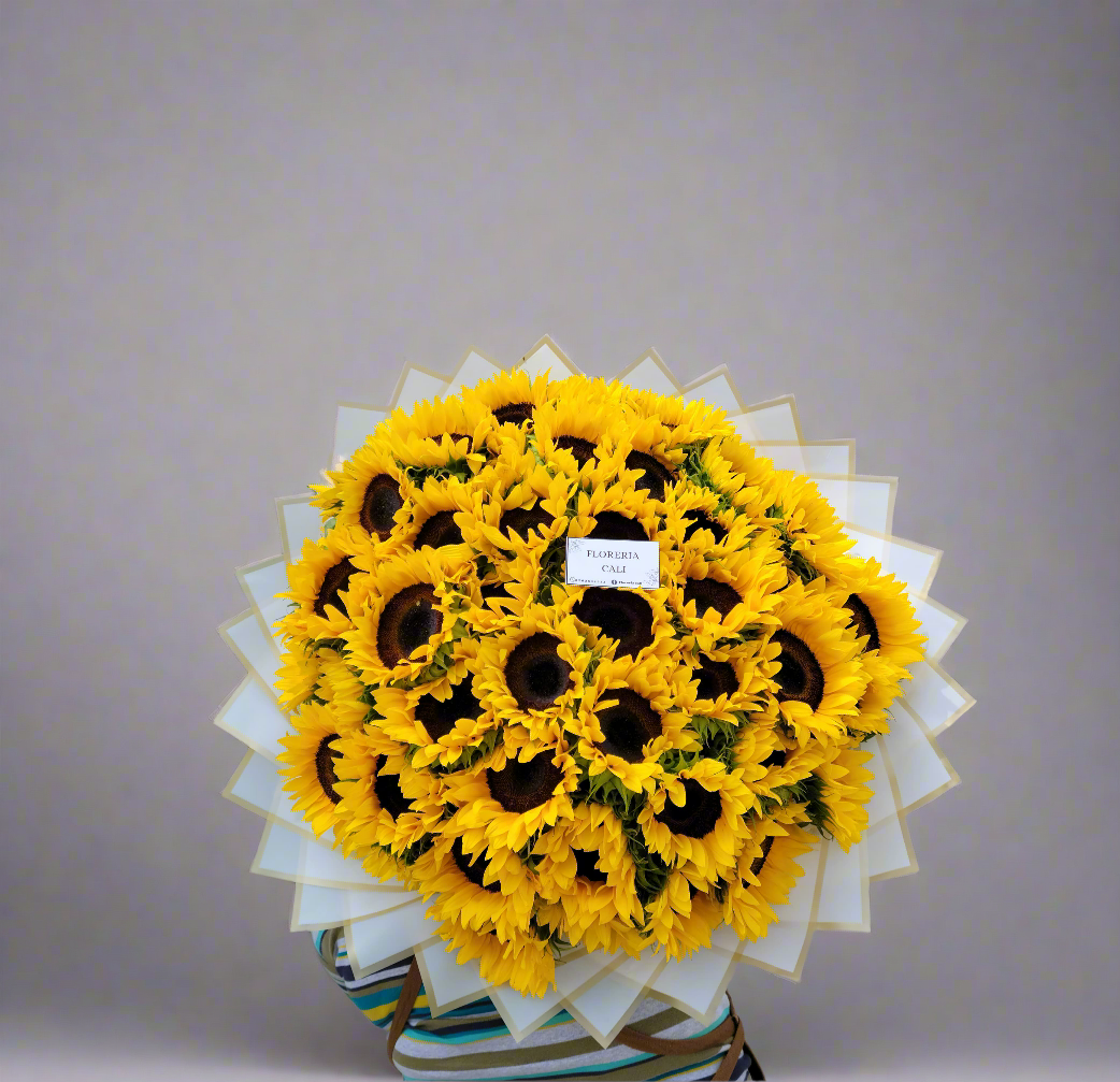 Rayo de Sol-15