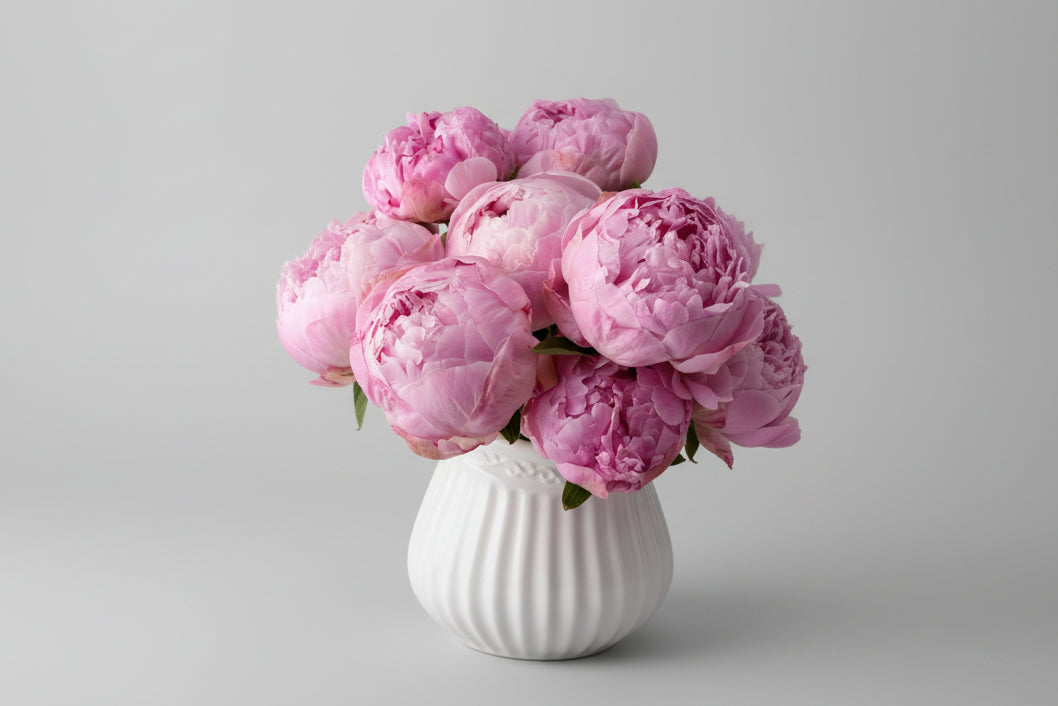 Peonias