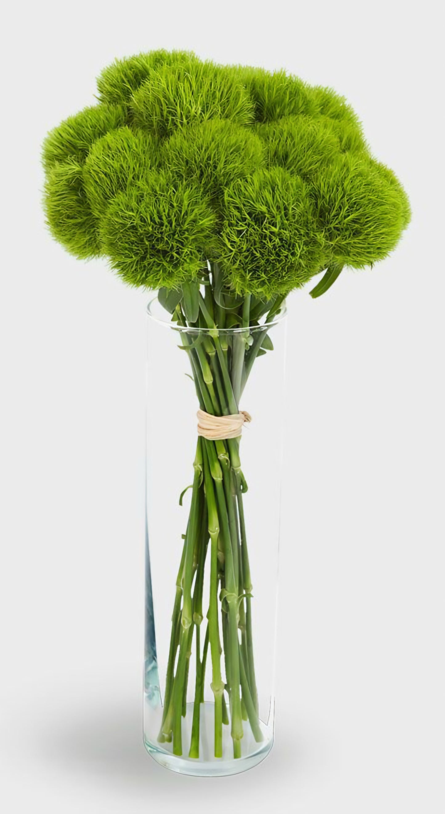 Green Ball