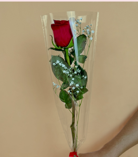 Rosa individual arreglada