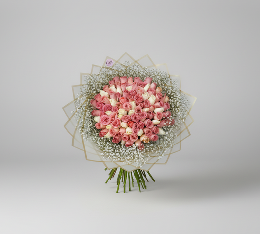 100 Rosas rosa y blanco