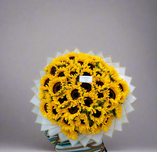 Rayo de Sol-15