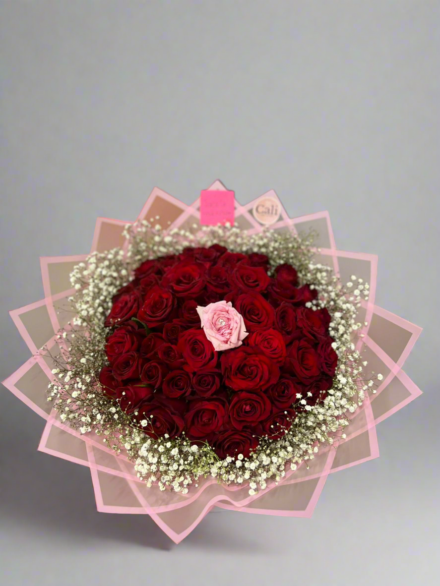 Sorpresa